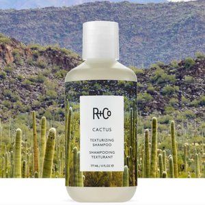 R+Co Cactus Texturizing Shampoo